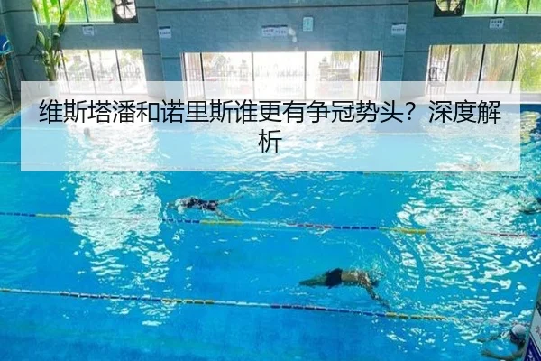 维斯塔潘和诺里斯谁更有争冠势头？深度解析